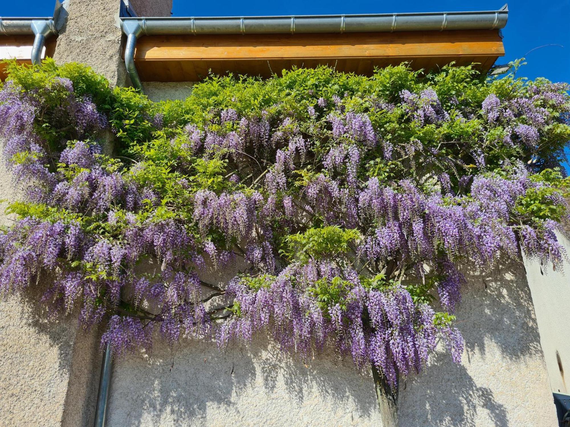 Les Tilleuls Epernay-sous-Gevrey Buitenkant foto